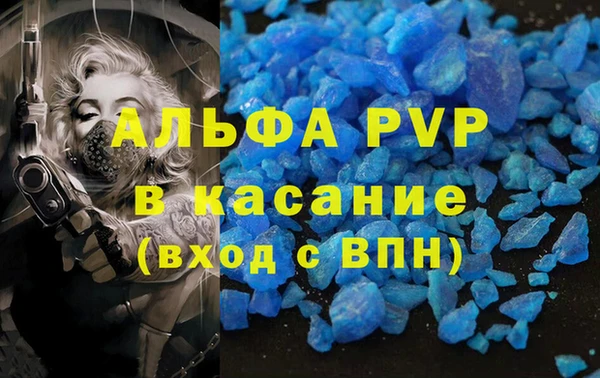 шишки Аркадак