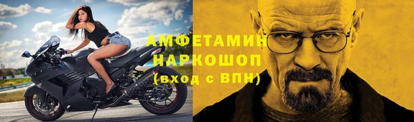 шишки Аркадак