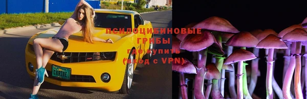тгк Армянск