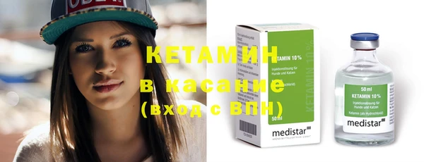 шишки Аркадак