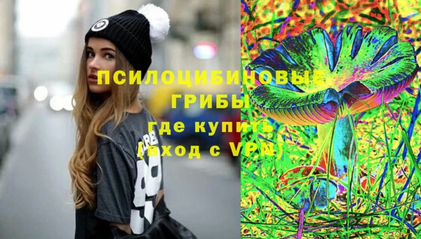 дмт Арсеньев