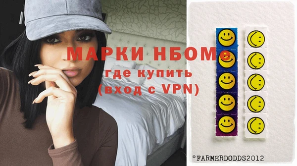 шишки Аркадак