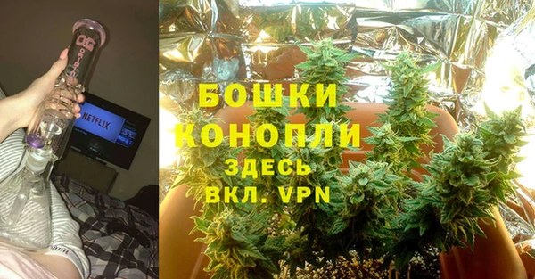 дмт Арсеньев