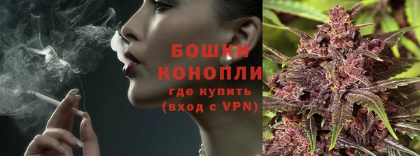 шишки Аркадак