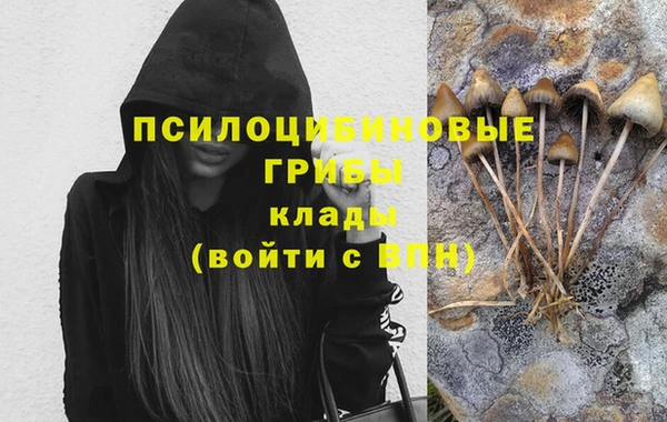тгк Армянск