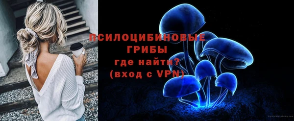 тгк Армянск