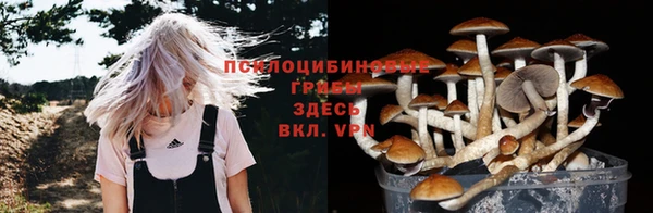 дмт Арсеньев
