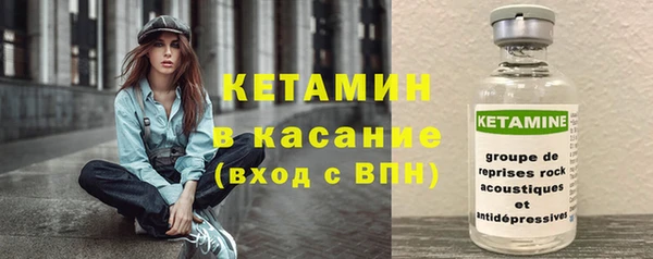 шишки Аркадак